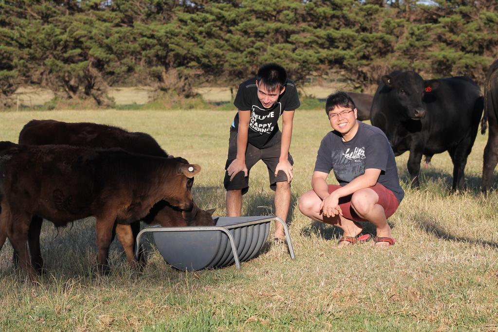 Bimbadeen Phillip Island Farm Retreats Ventnor Buitenkant foto
