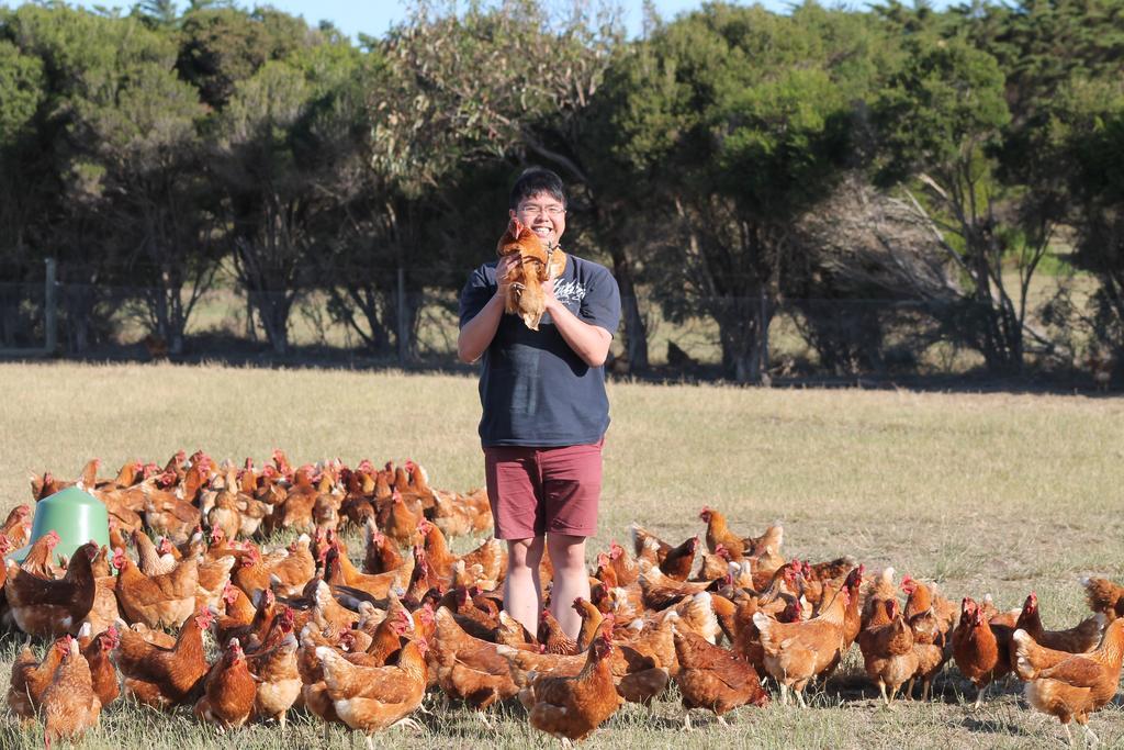 Bimbadeen Phillip Island Farm Retreats Ventnor Buitenkant foto